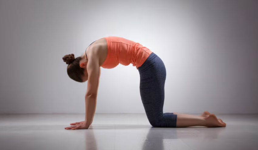 Morning Yoga Poses Marjaryasana-Bitilasana